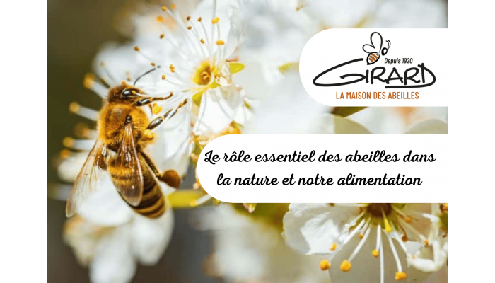 Le rôle essentiel des abeilles dans la nature et notre alimentation